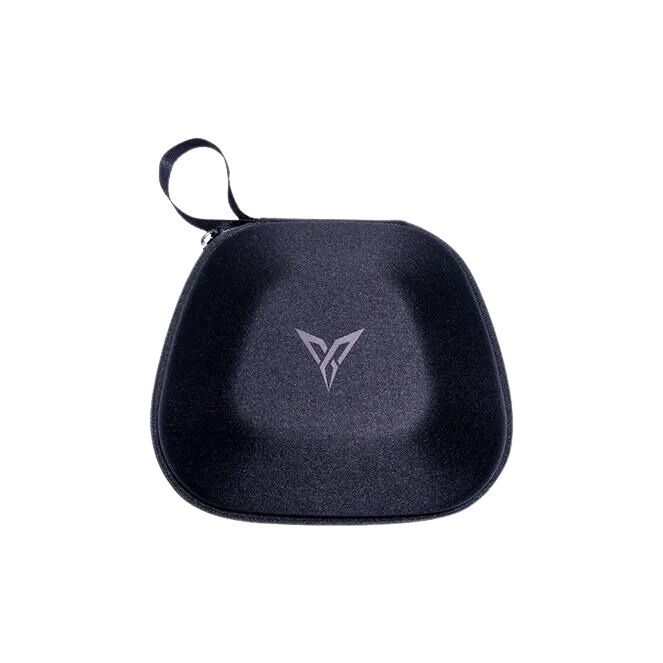 Flydigi Controller Bag